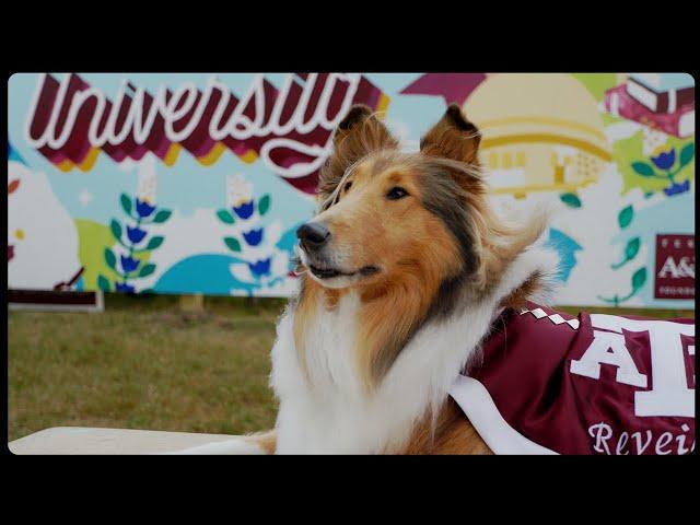 Texas A&M Foundation #BrighterFuture Campaign