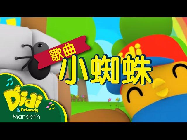 儿童歌曲 | 小蜘蛛 | Didi & Friends