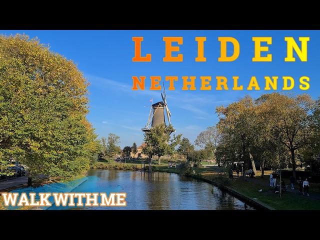 LEIDEN ~ NETHERLANDS ~ 4K Walking tour #leiden #netherlands #walkwithmechannel