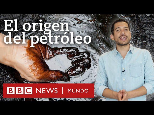 Cuál es el origen del petróleo (y no, no viene de los dinosaurios) | BBC Mundo