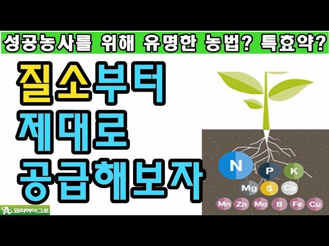 특수농법? 특효약보다 질소를 제대로 공급하는게 우선이다.