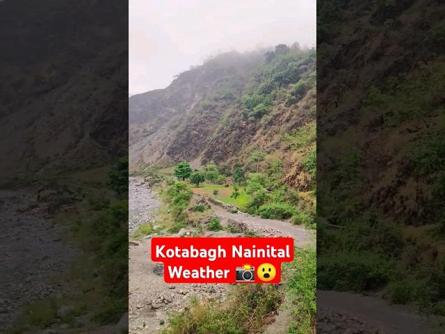 Kotabagh Nainital Weather ️ #shorts #shortvideos #viralshorts #weather #nainital #uttarakhand