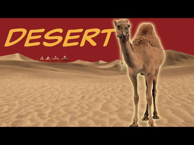 Explore the DESERT Biome  Nature Ecology & Environment