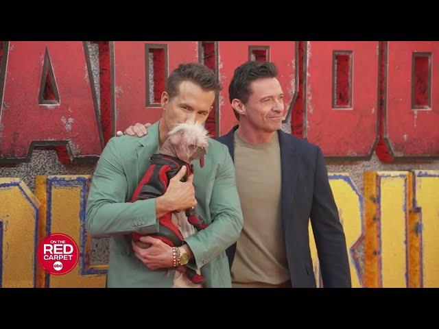 The real star on the "Deadpool & Wolverine" press tour was “Peggy the dog” who plays “Dogpool.”