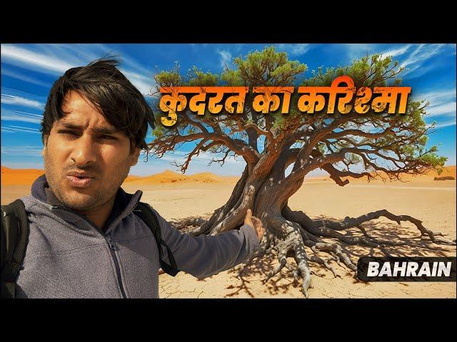 Bahrain में कुदरत का करिश्मा देख लिया! अरे ग़ज़ब! 8वां अजूबा! EP3 @ArbaazVlogs#treeoflife