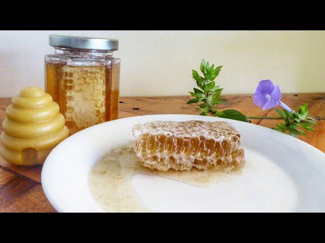 The Basics of Cottage food Laws & Selling your Honey legally