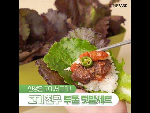 집콕 취미 추천｜나만의 작은 텃밭 만들기｜인터파크