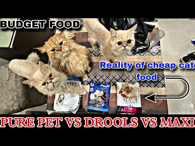 Pure pet vs drools vs maxi cat food review and comparison || reality of budget cat food