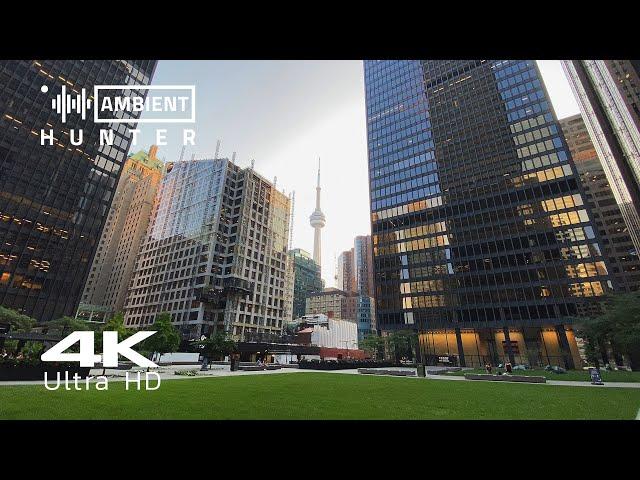 Walking in Toronto. Beautiful Sunset in Downtown | 4K