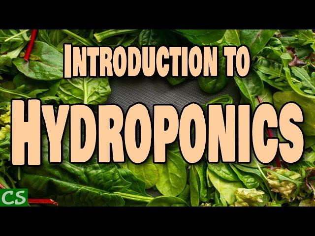 Introduction to Hydroponics (how we grow more food in 2020) Indoor Hydroponic Gardening -Aerogarden