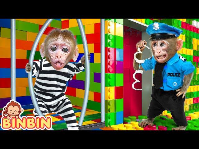 Monkey Binbin Escapes From The Magic Room and Swims in the Pool with Funny Animal | MONO BINBIN ESP