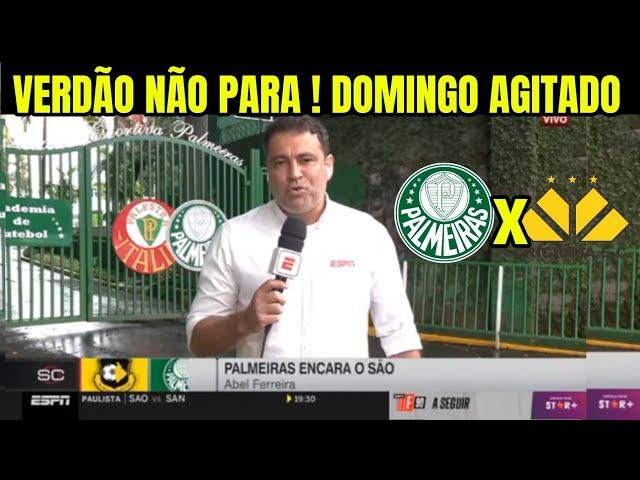 DOMINGÃO AGITADO NO PALMEIRAS! PUNIÇÃO DOLOROSA, REFORMULAÇÃO  TOTAL NO ELENCO, ÚLTIMAS NOTÍCIAS..