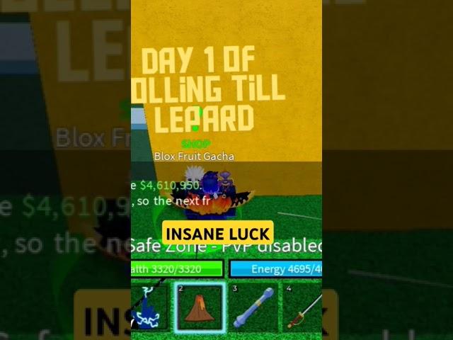 Day 1 Of Rolling Till Leopard Fruit | Insane Luck