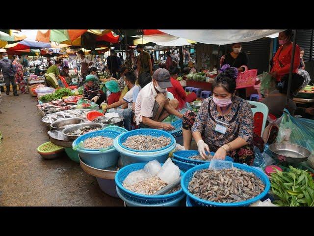 Morning Market Scene @Phsa Chhbar Ampov - Walk Around Chhbar Ampov Food Market on Tuesday