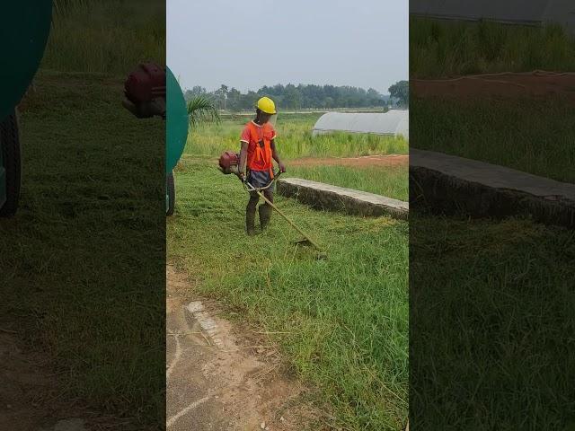 Brush Cutter: The Essential Tool for Weed Control on Your Farm 