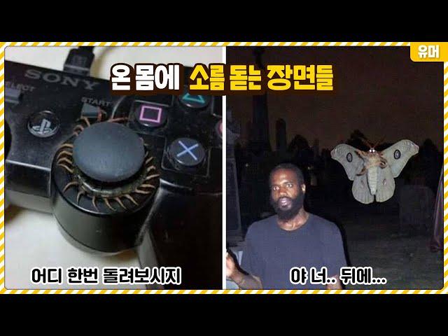 와 닭살 미쳤다;; 보자마자 온 몸에 소름돋는 장면들ㄷㄷ