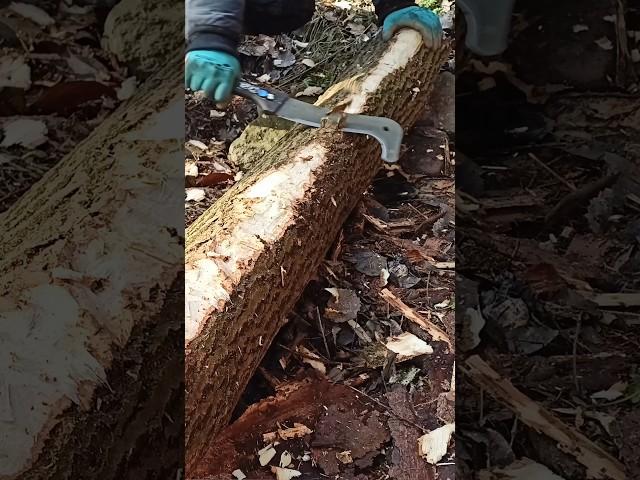 Build primitive Bushcraft Shelter: Fiskars Machette skills🪓️ #PrimitiveSkills #WildernessLiving