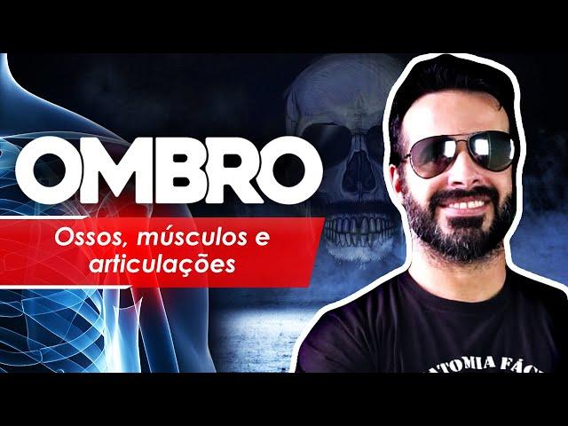 OMBRO: OSSOS, MÚSCULOS E ARTICULAÇÕES