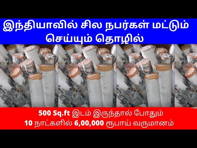 10 நாட்களில் 6,00,000ரூ வருமானம்​ | குறைந்த முதலீட்டில்  No Competition | Small Business Ideas Tamil