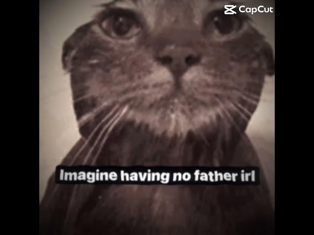 BAN CNPQUEEN