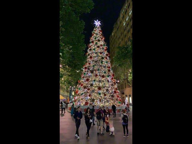 Christmas Tree In Town Hall, Sydney