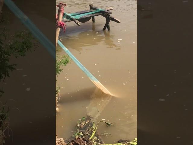 Real Life Fishing#fishing#fish#cast net#Trending#Viral#Ep59