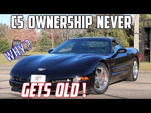 C5 Corvette Ownership Never gets OLD (Here's why - even after 10 years)