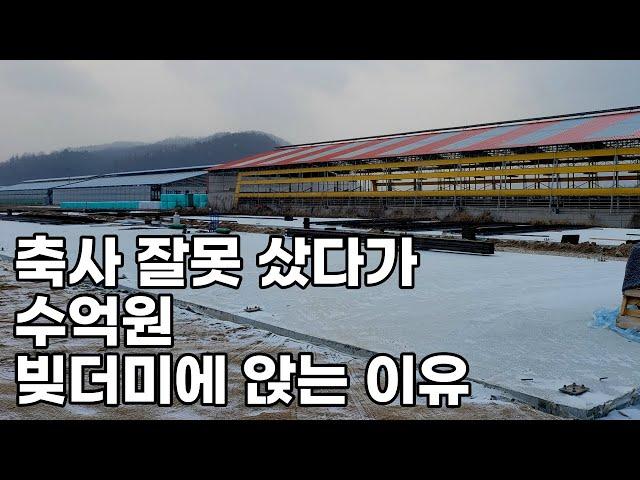 축사 경매 받기 전에 이 영상 꼭 보세요 (축사 신축, 매매)