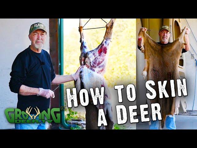 How To Easily Skin A Deer (#580)