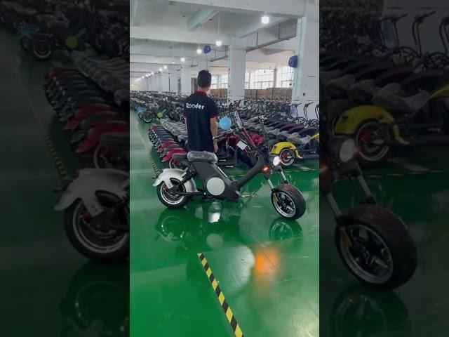 #Rooder #mangosteen #citycoco #elektroroller #chopper