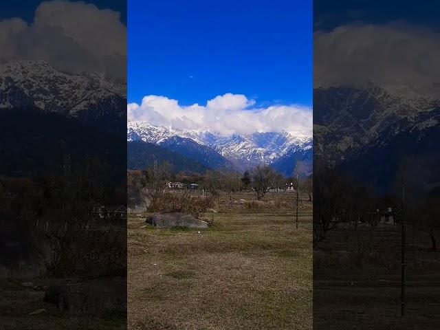 Dhauladhar Range || Beautiful Weather || Palampur, Himachal Pradesh || #ytshorts #trending