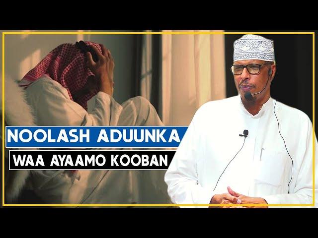 NOOLASHA ADUUNKA WAA AYAAMO KOOBAN || Sh Dr Maxamuud Shibli