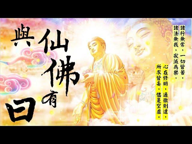 善云善緣【與仙佛有曰】佛典篇：罪福相追 終無遠離 (佛經的因果故事，竟然殺生吃肉有這麼可怕的事情發生？不可思議！)