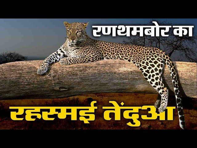 रणथंबोर का रहस्मई तेंदुआ | Real Story of Ranthambore National Park Rajasthan  | pack4yatra