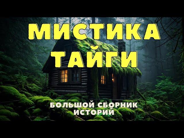 В Этой ТАЙГЕ Происходили Ужасные События/ Охотничьи байки/ Мистика тайги