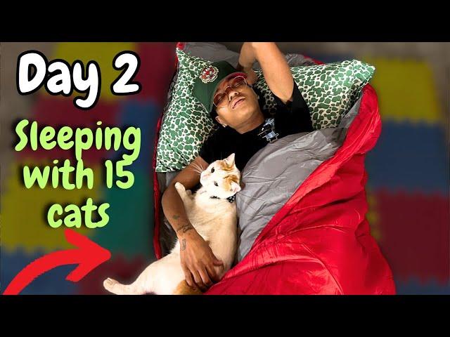 I Survived 28 Days living in a Cats Catio - DAY 2