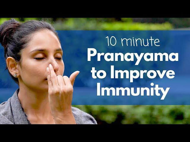 10 Minute Pranayama to Increase Immunity | इम्यूनिटी बढ़ाने के लिए प्राणायाम @satvicyoga