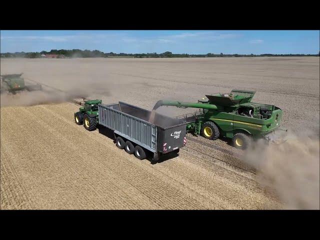 Claas Lexion 8800 "500000" - John Deere X9 - Case 8250 im Weizen Ernte 2024 im Oderbruch