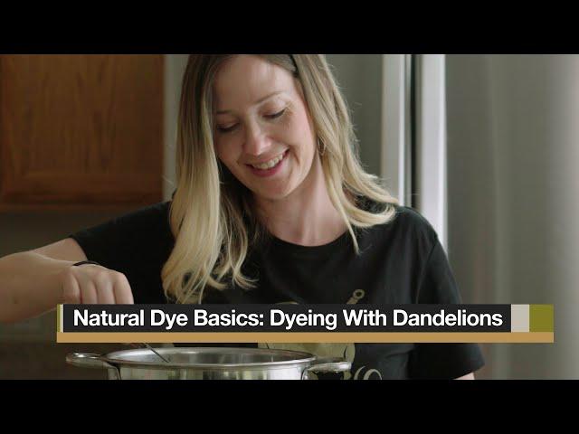 Natural Dye Basics: Dandelion Dye