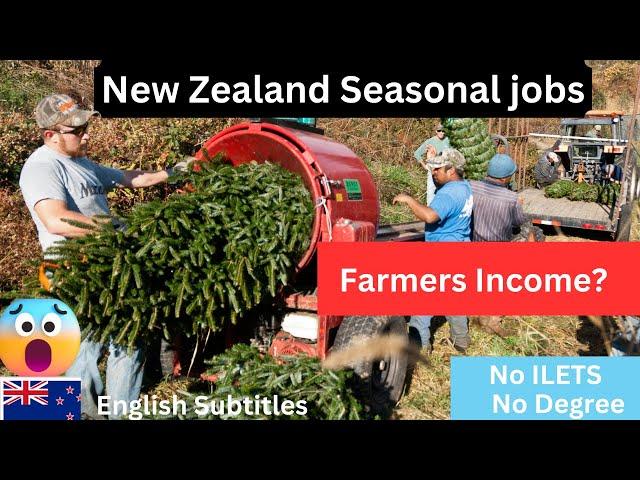 NZ Seasonal Work Visa New Zealand 2024|Complete Process with Demo|How to move to New Zealand