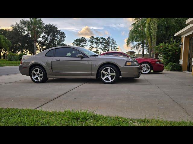 Video fixed..... Walk around of my new Bone stock 2003 Cobra.....