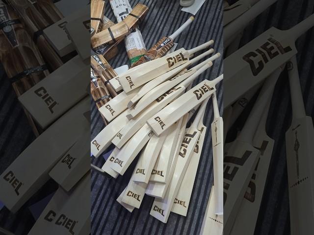 Best Cricket Bat For Leather Ball | Hard Pressed For Better Punch | Best Cricket Bat Under Rs 5000