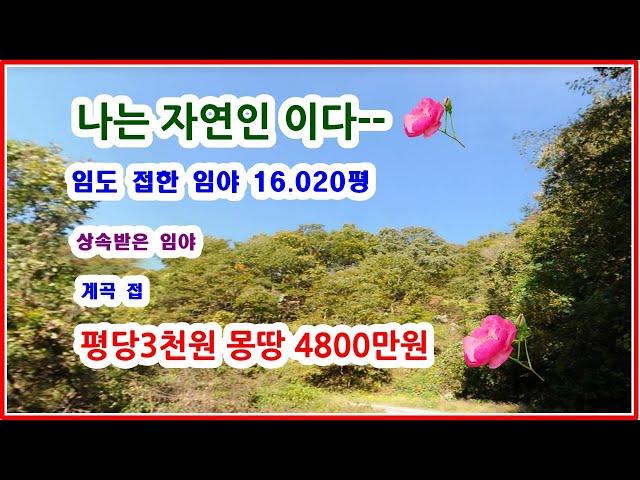 [급매] 임도 접하고 계곡접한 땅 16020평의 땅이 평당3천원에 나왔네요 - 몽땅4800만원 넘 멋진 매도금액입니다