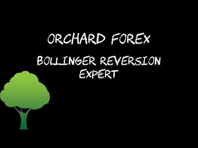 Bollinger Reversion expert for MT5