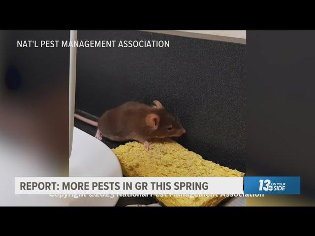 Report: More pests expected in Grand Rapids this year