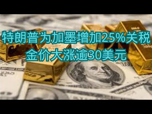 特朗普为加墨增加25%关税  金价大涨逾30美元