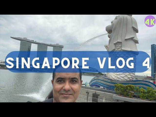 Singapore Travel Series Vlog No 4 | ManiKu Vlogs