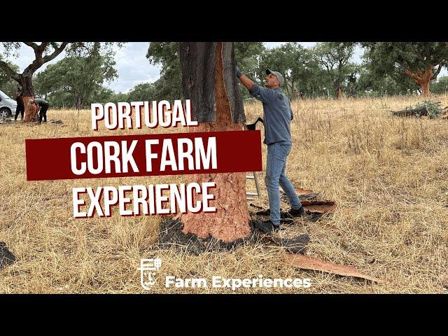 Cork Farm Tour in Portugal 