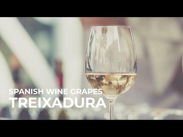 Spanish Wine Grapes: Treixadura