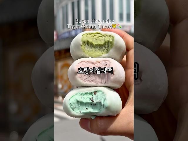 부산 대표 디저트 호랑이젤라떡 최신근황은? #호랑이젤라떡 #해운대 #해운대여행 #해운대맛집 #부산맛집 #부산여행 #부산디저트맛집